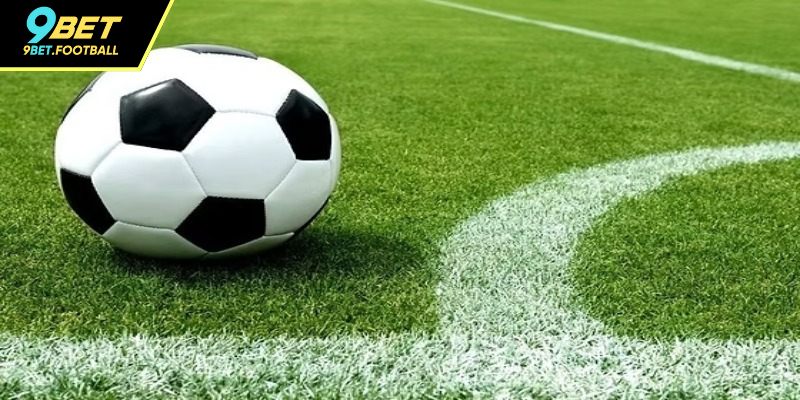 Cần tham khảo điều kiện thời tiết, sân bãi